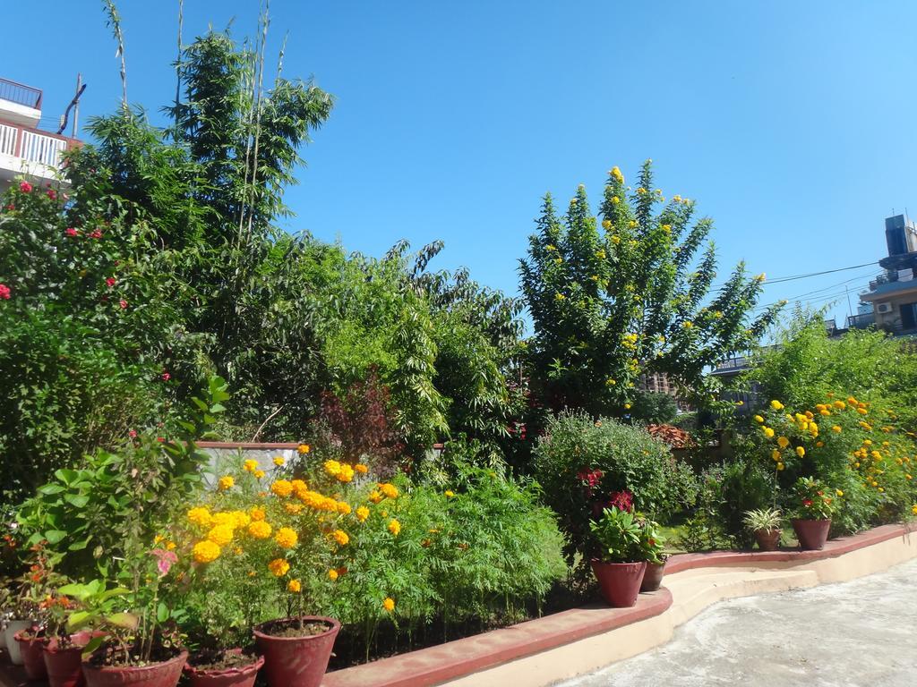 Hotel Diplomat Pokhara Exterior photo